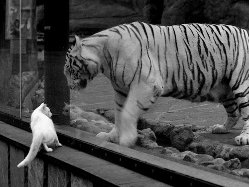 九游sports-Dota 2 Fnatic意外失利 淘汰赛提前登场，dota2淘汰赛规则